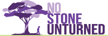 No Stone Unturned 2025